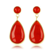 Stralende Gouden Oorbel met Carnelian Druppel Hanger