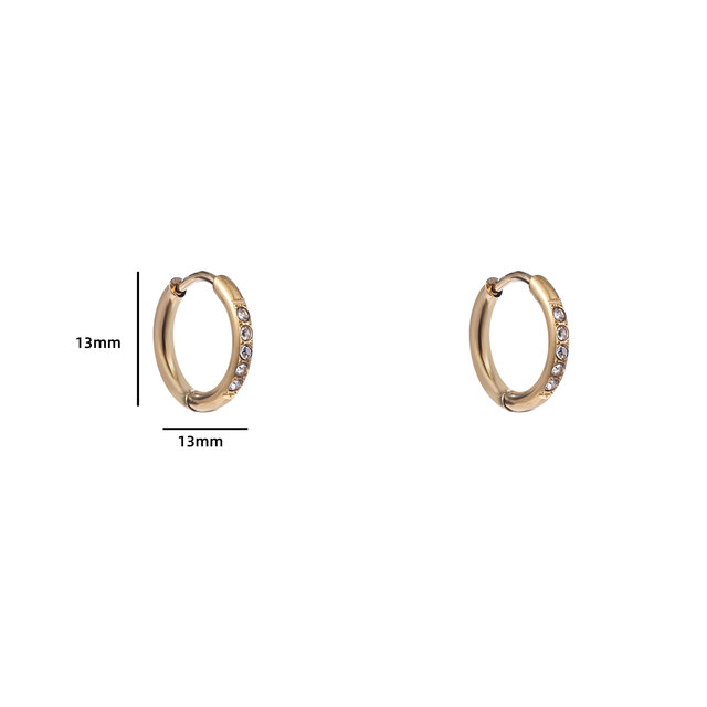 SPARKLE HOOP 12MM OORBELLEN E4477-2