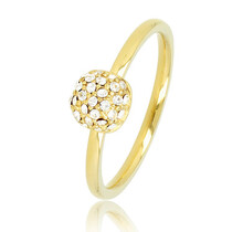 Ring met zirkonia - Minimalistisch Stainless steel ontwerp