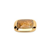 Kosmic Gem Square Steen Fossil Coral 28mm Goud
