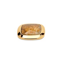 Kosmic Gem Square Steen Fossil Coral 28mm Goud