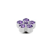 Twisted Frozen Star CZ Steentje Purple Zilver