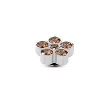 Twisted Frozen Star CZ Steentje Champagne Zilver