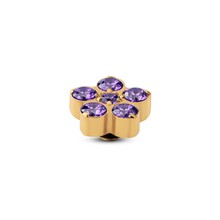 Twisted Frozen Star CZ Steentje Purple Goud