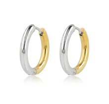 Kleine oorringen bicolor