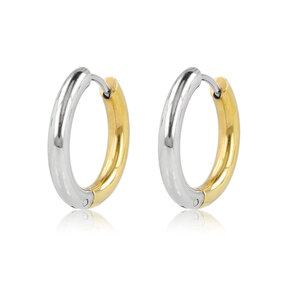 Kleine oorringen bicolor