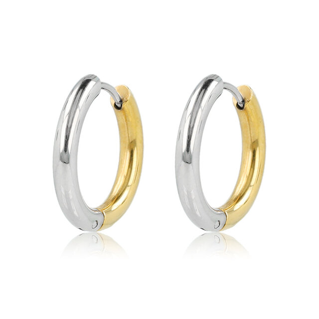 Kleine oorringen bicolor