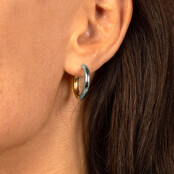 Kleine oorringen bicolor