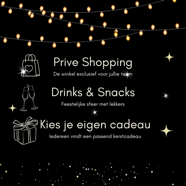 Het Alternatieve Kerstpakket Zilver - December