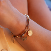 Verbindschakel Connect