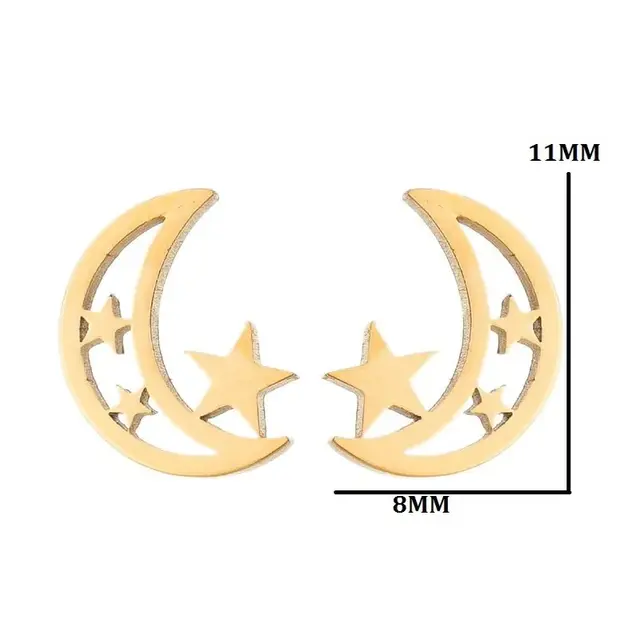 Stainless Steel Maan Ster Oorstekers – Moon Star Studs Goud/Zilver