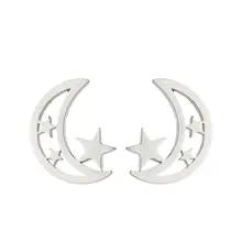 Stainless Steel Maan Ster Oorstekers – Moon Star Studs Goud/Zilver
