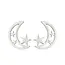Goodies Stainless Steel Maan Ster Oorstekers – Moon Star Studs Goud/Zilver