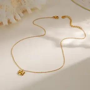 Stainless Steel Minimalistische Ketting Krab – Goud- en Zilverkleurig