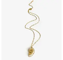 Stainless Steel Ketting Schelp Swirl – Goudkleurig