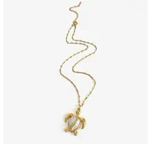 Stainless Steel Ketting Schildpad – Goudkleurig