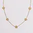 Goodies Stainless Steel Ketting Bloemetjes Goud – Daisy Necklace 45+5 cm Minimalistisch