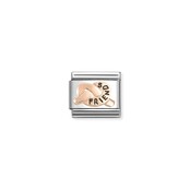 NOMINATION COMPOSABLE CLASSIC SYMBOL FRIENDKNOT 430202/36