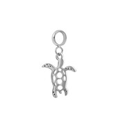 iXXXi Connect Bedel Turtle