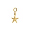 iXXXi Connect iXXXi Connect Bedel Ocean Star
