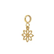 iXXXi Connect Bedel Little Daisy