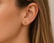 Stainless Steel Oorstuds Dolfijn – Goud