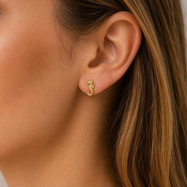 Stainless Steel Studs Zeepaardje