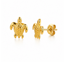 Stainless Steel Studs Schildpad