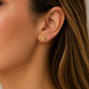 Stainless Steel Studs Schildpad