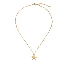 Goodies Label Stainless Steel Ketting Zeester Goudkleurig 40 + 5 cm