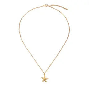 Goodies Label Stainless Steel Ketting Zeester Goudkleurig 40 + 5 cm