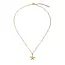 Goodies Label Goodies Label Stainless Steel Ketting Zeester Goudkleurig 40 + 5 cm