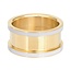 iXXXi Jewelry iXXXi basisring Warm Grey 10mm Goud