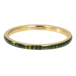 iXXXi Vulring Zirconia Emerald Goud