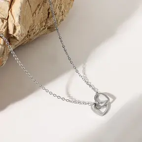 Zilverkleurige Stainless Steel Dubbele Hart Ketting 40 + 5 cm | Goodies