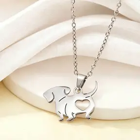 Zilverkleurige Stainless Steel Teckel Ketting 50 cm | Goodies