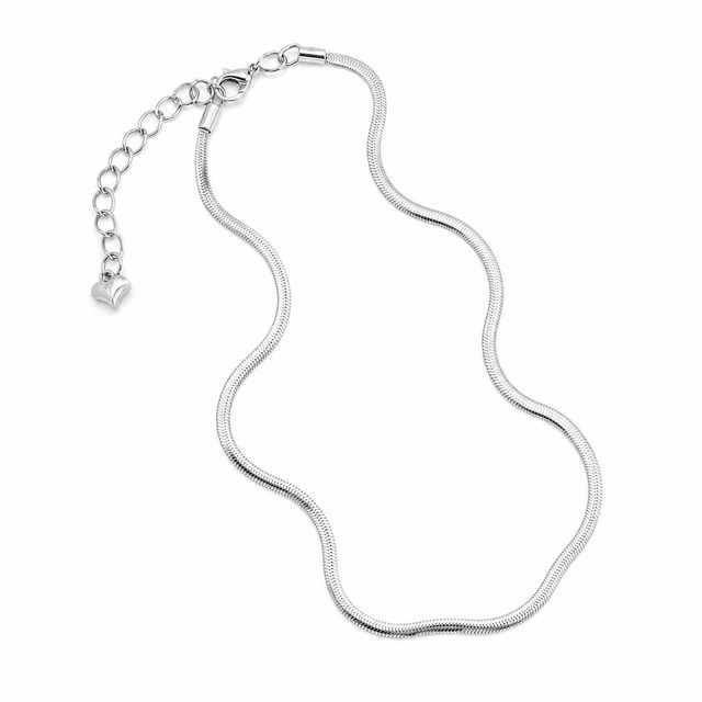 Zilverkleurige Stainless Steel Korte Ketting 38 cm | Goodies