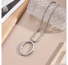 Zilverkleurige Stainless Steel Statement Ketting 45 cm | Goodies