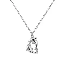 Zilverkleurige Stainless Steel Dolfijnen Ketting 38 + 5 cm | Goodies
