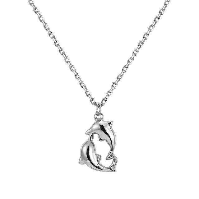 Zilverkleurige Stainless Steel Dolfijnen Ketting 38 + 5 cm | Goodies
