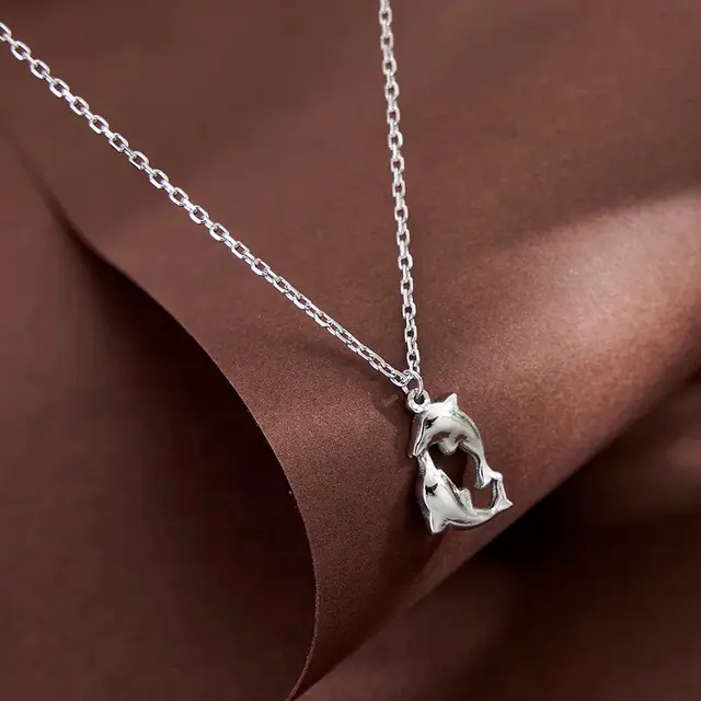 Zilverkleurige Stainless Steel Dolfijnen Ketting 38 + 5 cm | Goodies