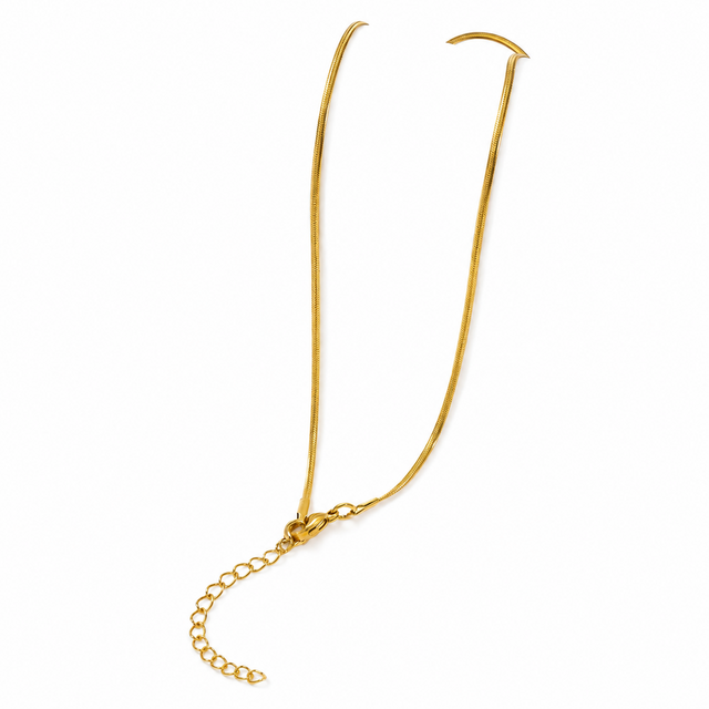 Goudkleurige Stainless Steel Snake Chain Ketting 45 + 5 cm | Goodies