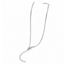Zilverkleurige Stainless Steel Snake Chain Ketting 45 + 5 cm | Goodies