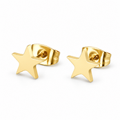 Goodies Label Goudkleurige Ster Oorstuds | Stainless Steel