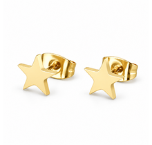 Goodies Label Goudkleurige Ster Oorstuds | Stainless Steel