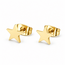 Goodies Label Goodies Label Goudkleurige Ster Oorstuds | Stainless Steel