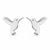 Goodies Label Zilverkleurige Kolibrie Oorstuds 8 mm | Stainless Steel