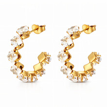 goodies Label  Earring zirkonia