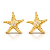 goodies Label Starfishs
