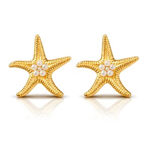 goodies Label Starfishs